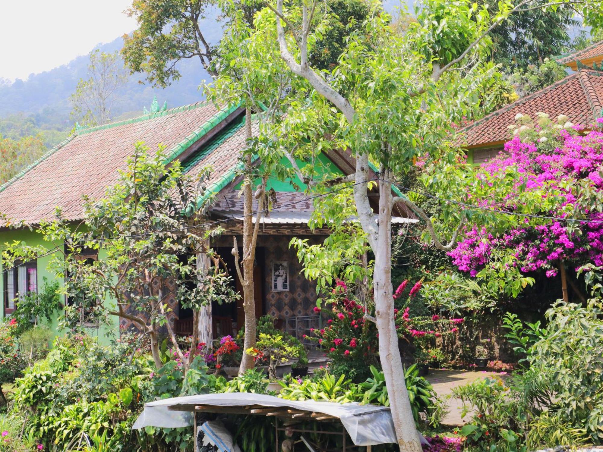 Dajan Buyan Homestay Bedugul  Dış mekan fotoğraf