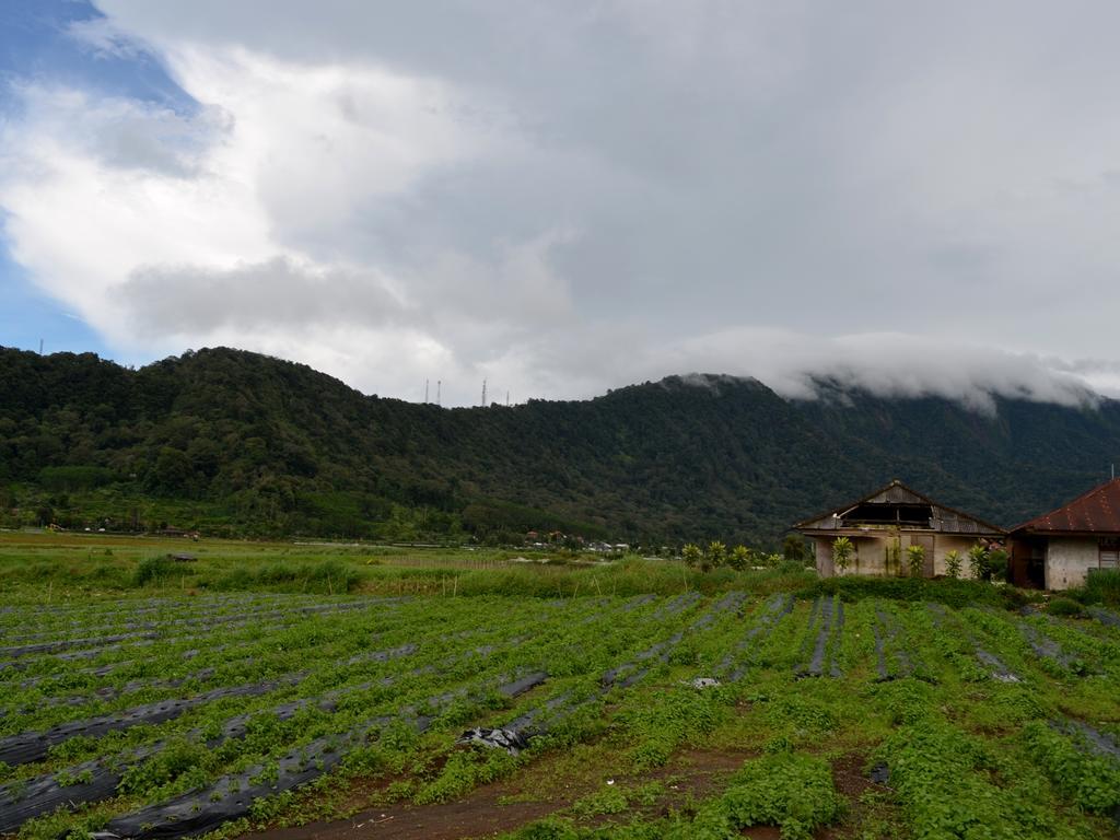 Dajan Buyan Homestay Bedugul  Dış mekan fotoğraf
